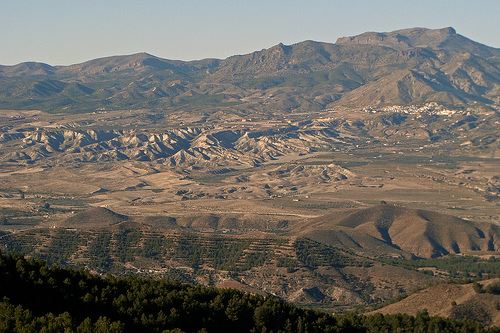 032 ALMANZORA Sierra de las Estancias