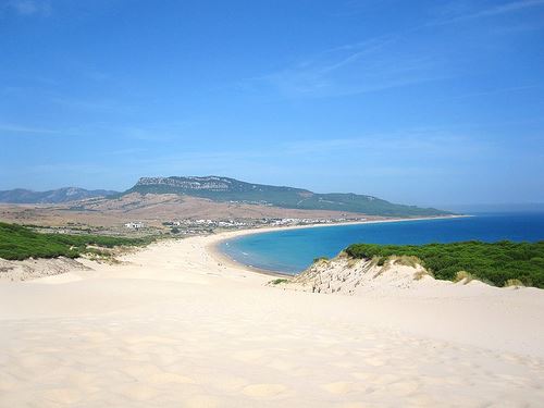 Bolonia dune por vicox01.