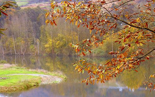 Autumn por Luciti.