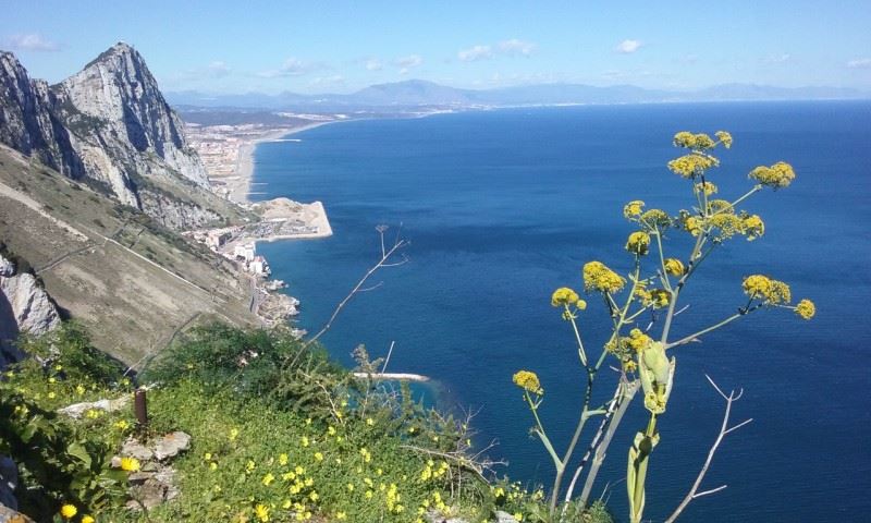 From Gibraltar's Upper Rock Nature Reserve. Photo © snobb.net