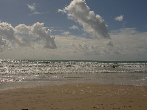 Conil