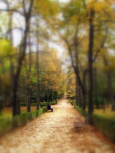 El Retiro de Madrid por margacastillo.