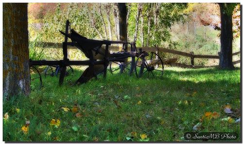 Tools and leafs / Aperos y hojas por . SantiMB ..