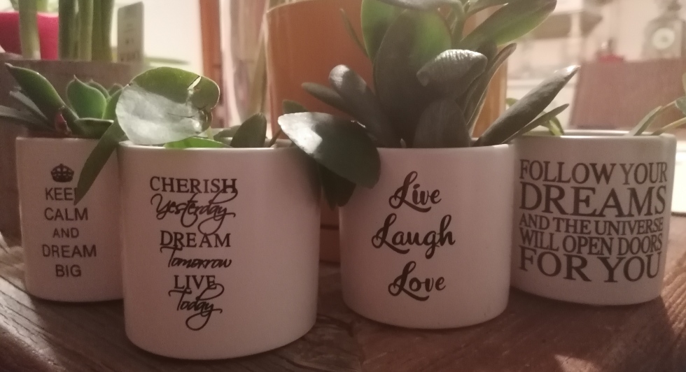 Fleece Hoodie Lidl Kapuzenpulli Fleece Jacket Crivit In Jacke Fleece Crivit Softshelljacke Damen