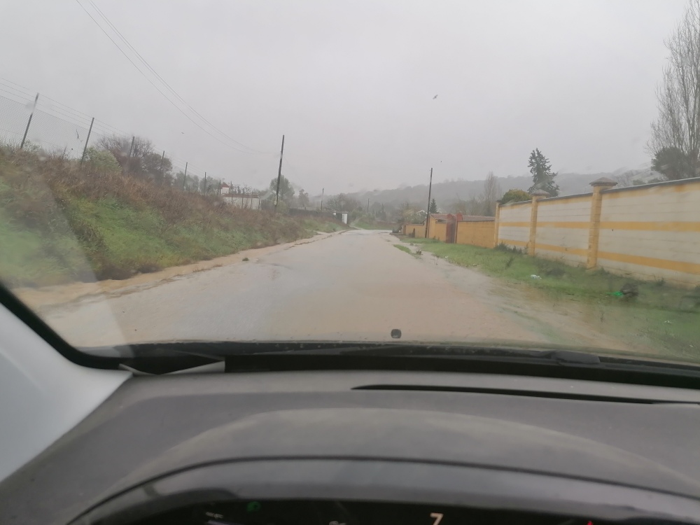 Fleece Hoodie Lidl Kapuzenpulli Fleece Jacket Crivit In Jacke Fleece Crivit  Softshelljacke Damen