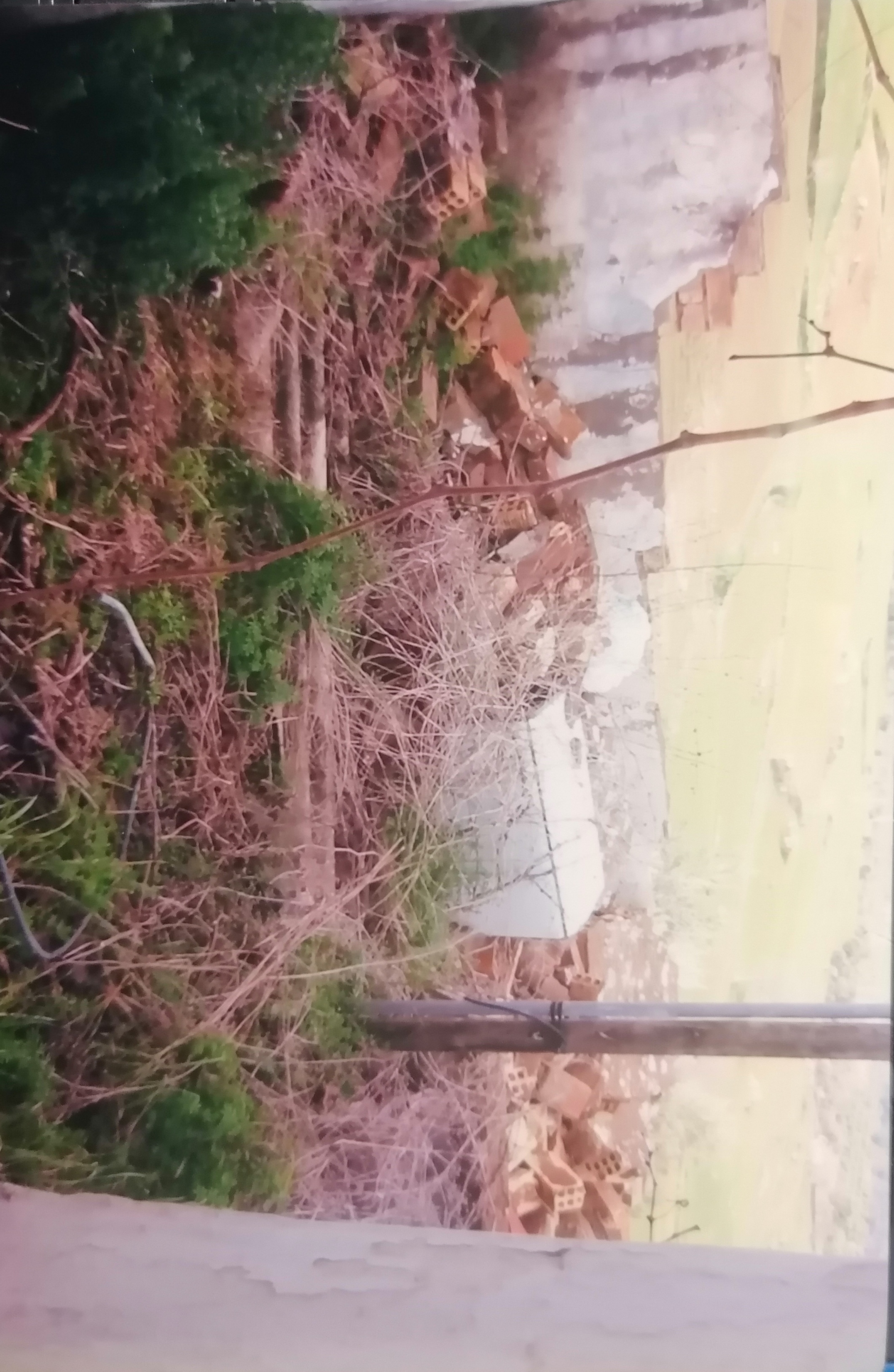 A puréed and simmering carrot soup in a pot with a spoon