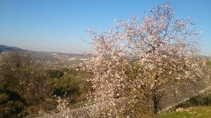 People struggle against the wind and rain in Malmö, Sweden, after a storm reached southern Sweden, Saturday Oct. 4, 2025. (Johan Nilsson/TT via AP)