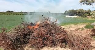 People struggle against the wind and rain in Malmö, Sweden, after a storm reached southern Sweden, Saturday Oct. 4, 2025. (Johan Nilsson/TT via AP)