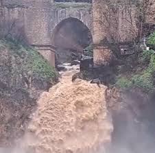 Fleece Hoodie Lidl Kapuzenpulli Fleece Jacket Crivit In Jacke Fleece Crivit  Softshelljacke Damen