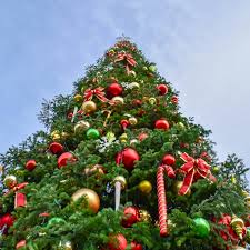 Resultado de imagen de frank and isa el muelle de arriate